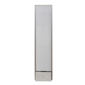 EAS Security RF 8.2MHz Acrylic System(EAS008)
